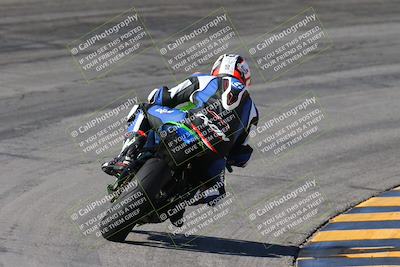 media/Feb-04-2024-SoCal Trackdays (Sun) [[91d6515b1d]]/4-Bowl Backside (11am)/